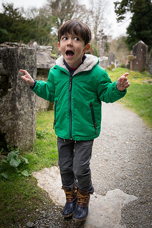 Muckross Abbey