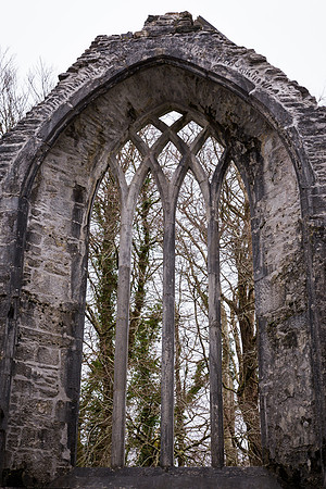 Muckross Abbey
