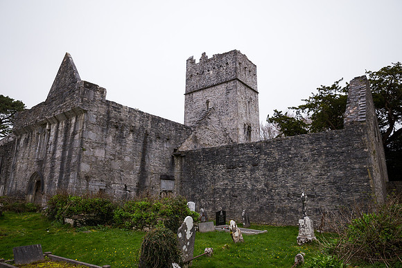 Muckross Abbey