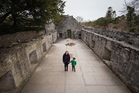 Muckross Abbey