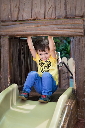 Goofy's Playhouse