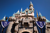 Day 5 - Disneyland (9-06-16)
