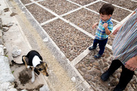 Day 6 - Dog and Sebs