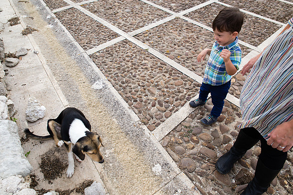 Day 6 - Dog and Sebs