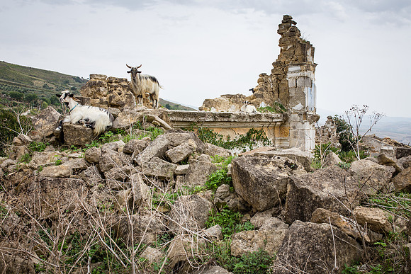 Day 3 - Ruderi Di Poggioreale, Sicily