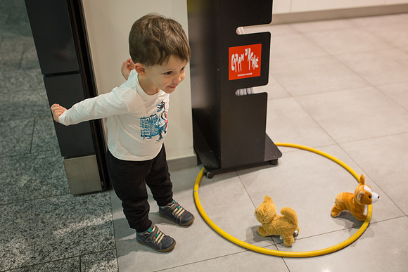 Day 0 - Sebby Toys