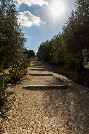 Day 1 -Walking up the hill to Greek Temple at Segesta