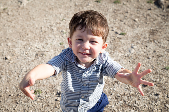 Day 1 -Cute Sebby at Segesta