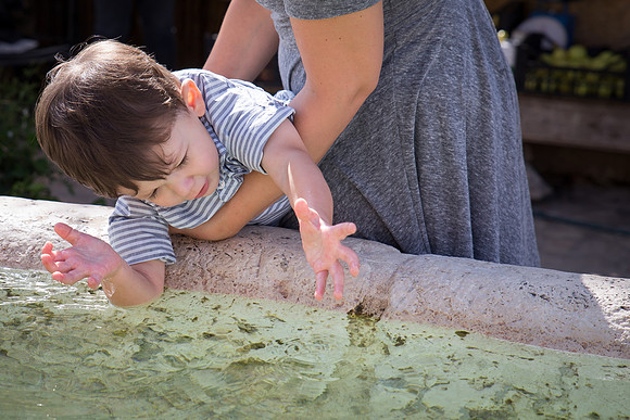 Day 1 -Sebby loves Fountains