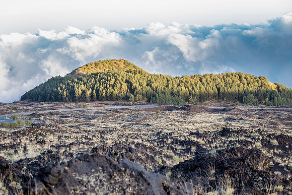 Day 11 - Mount Etna Southern Flank