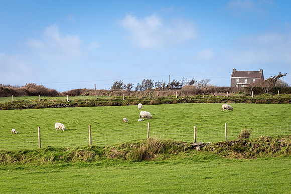 Cahergall Ring Fort
