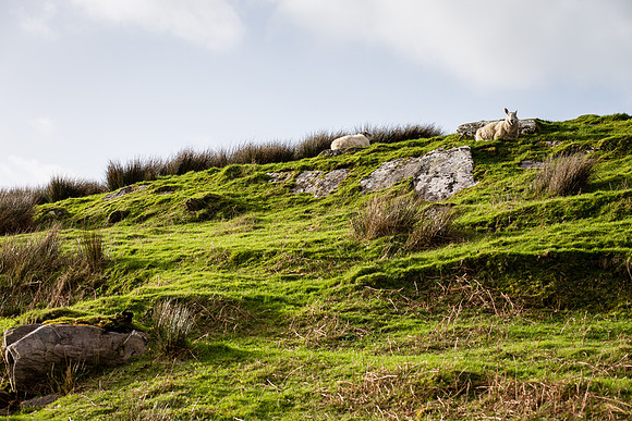 Cahergall Ring Fort