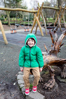 Merrion Square Playground