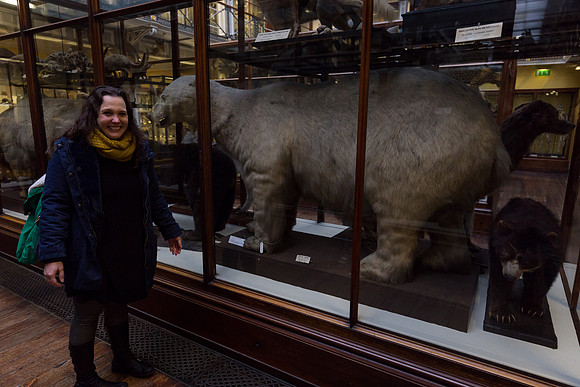 National Museum of Ireland - Natural History Museum