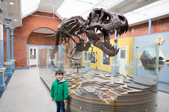 Zoorassic World at the Dublin Zoo