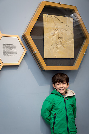 Zoorassic World at the Dublin Zoo