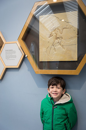 Zoorassic World at the Dublin Zoo