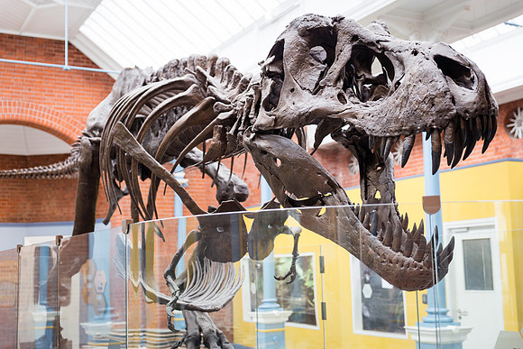 Zoorassic World at the Dublin Zoo