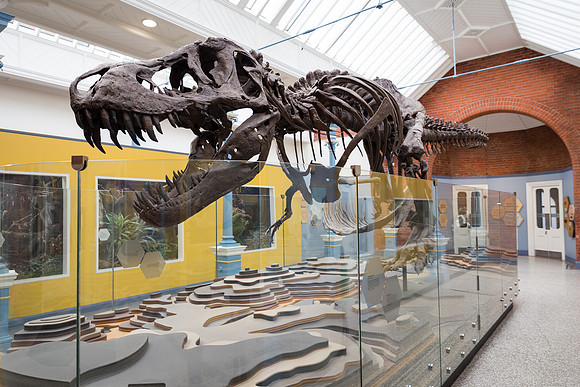 Zoorassic World at the Dublin Zoo
