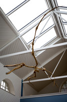 Zoorassic World at the Dublin Zoo