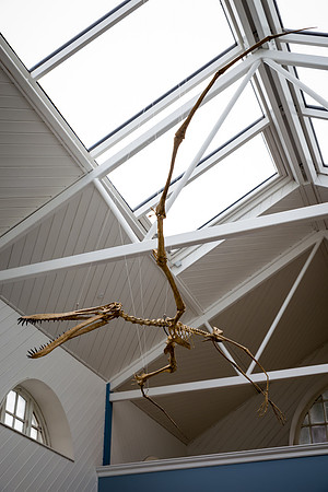 Zoorassic World at the Dublin Zoo