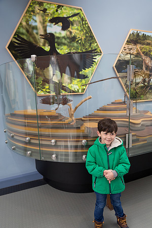 Zoorassic World at the Dublin Zoo