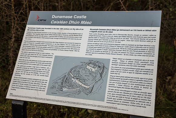 The Rock of Dunamase