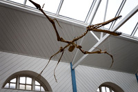 Zoorassic World at the Dublin Zoo