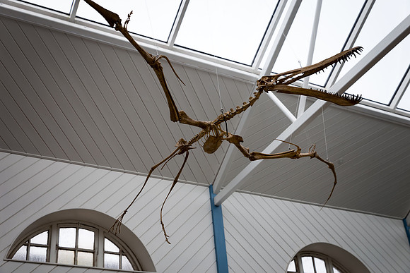 Zoorassic World at the Dublin Zoo