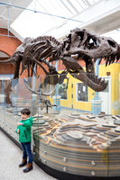 Zoorassic World at the Dublin Zoo