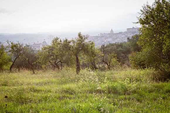 Day 12 - Noto from Afar