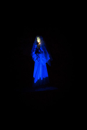 Day 1 - Feb 27 - Haunted Mansion