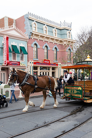 Day 2 - Feb 28 - Main Street