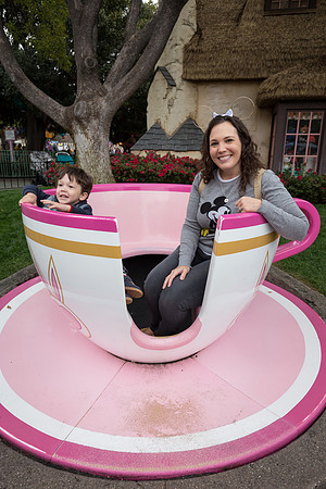 Day 2 - Feb 28 - Tea Cup in front of Mr Toad