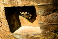 Day 4 - Detail of Bronze Icarus Statue