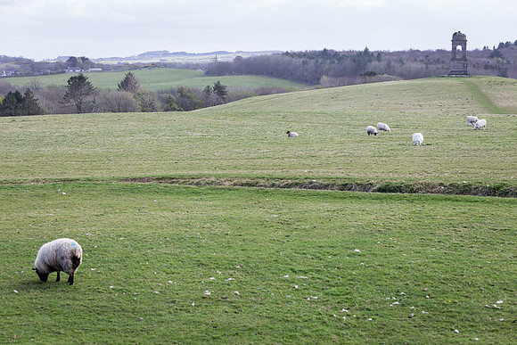 Downhill House