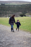 Downhill Demesne