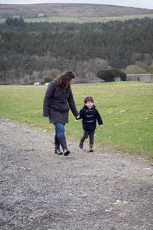 Downhill Demesne