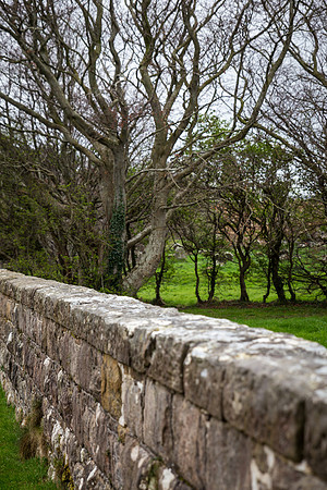 Bonamargy Friary