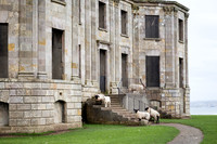 Day 3 - Mussenden Temple and Downhill Demesne, Ballintoy Harbor, Bonamargy Friary, Dark Hedges