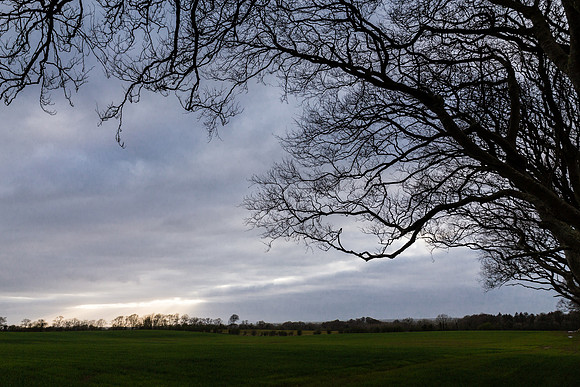 The Dark Hedges