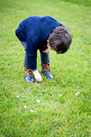 Sebby picking flowers for Tissy at the walled gardens of Downhill Demesne