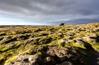 Day 7 - The Burren