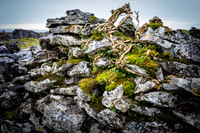 Day 7 - Cahercommaun Cliff Fort