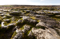 Day 7 - The Burren