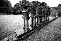 Day 4 - Cong Abbey