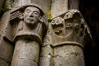 Day 7 - Corcomroe Abbey
