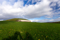 Day 1 - Newgrange